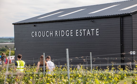 Crouch Ridge Vineyard